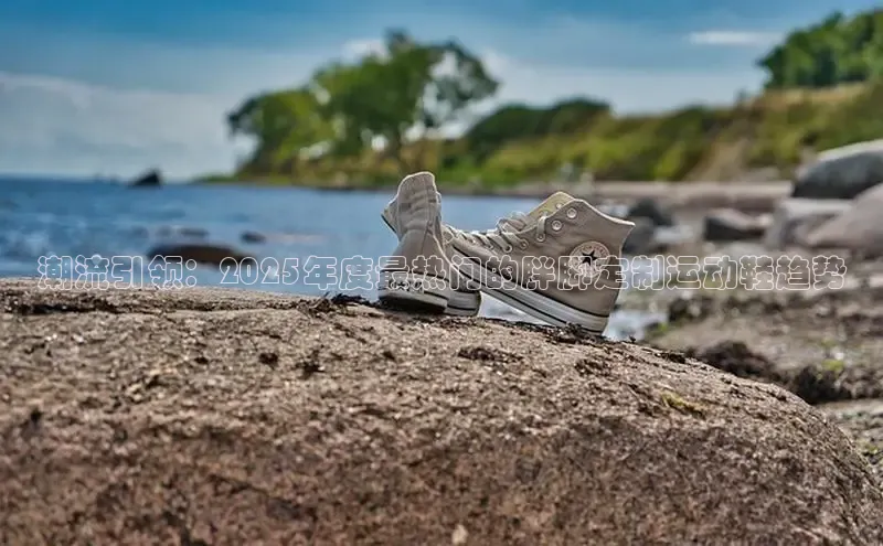 XCSport网页版入口